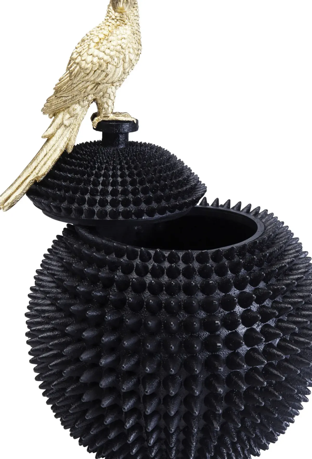 KARE24.se Dekor Skrin Parrot - KARE Design Outlet