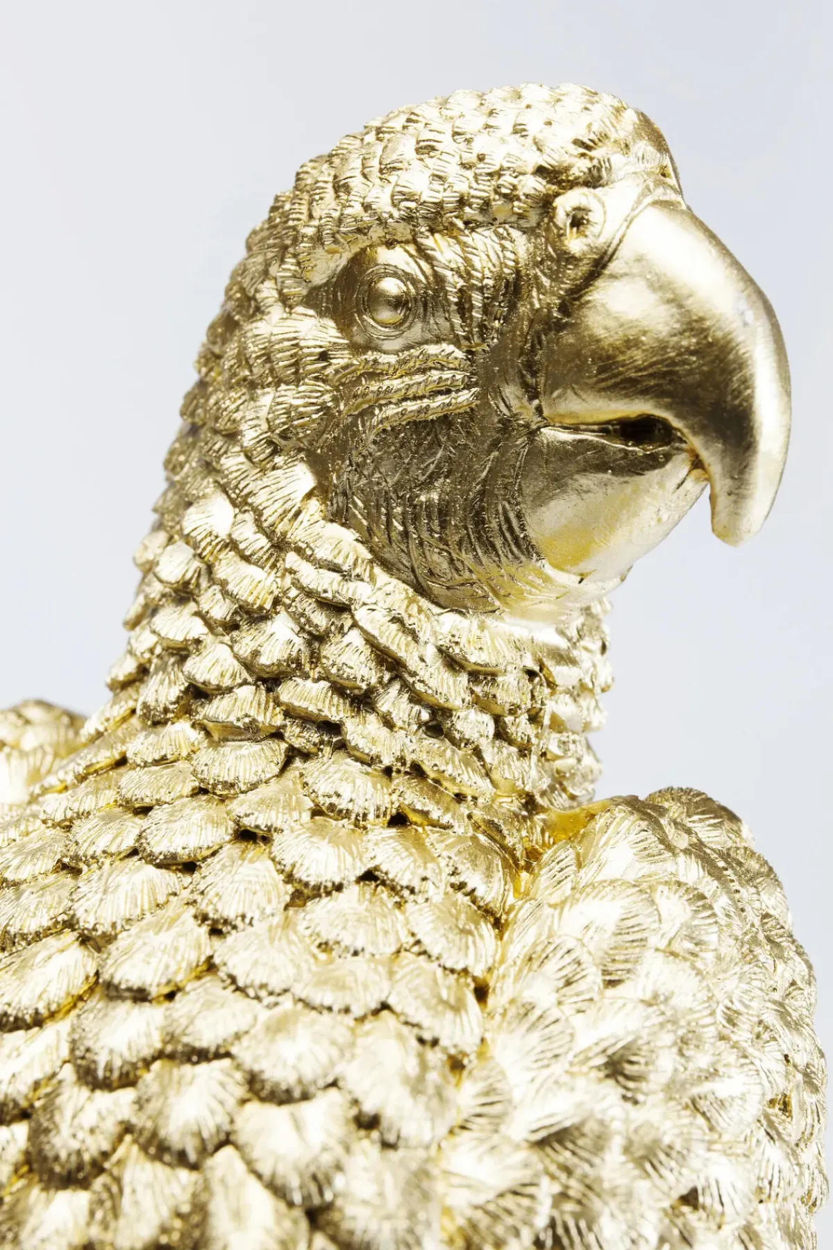 KARE24.se Dekor Skrin Parrot - KARE Design Outlet