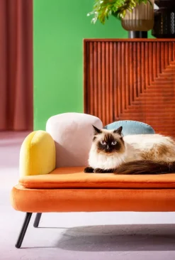 KARE24.se Hundbädd/Kattbädd Diva - Orange - KARE Design Sale