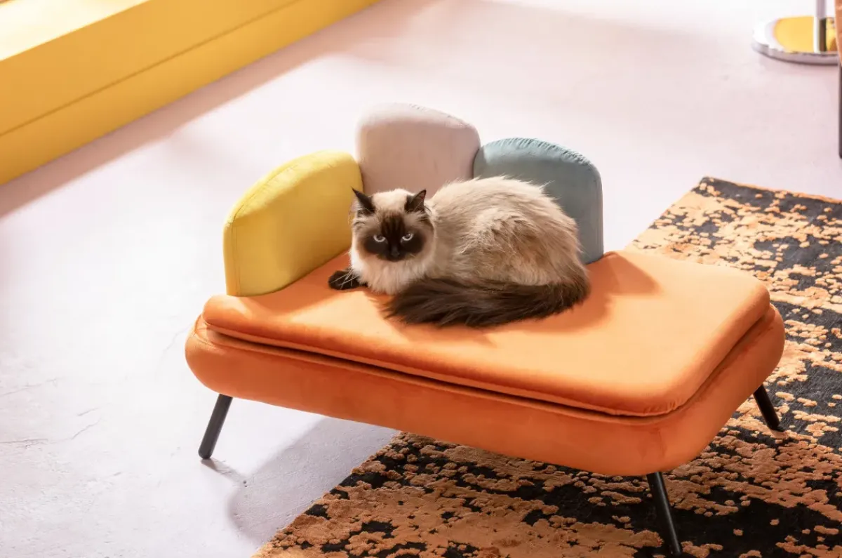 KARE24.se Hundbädd/Kattbädd Diva - Orange - KARE Design Sale