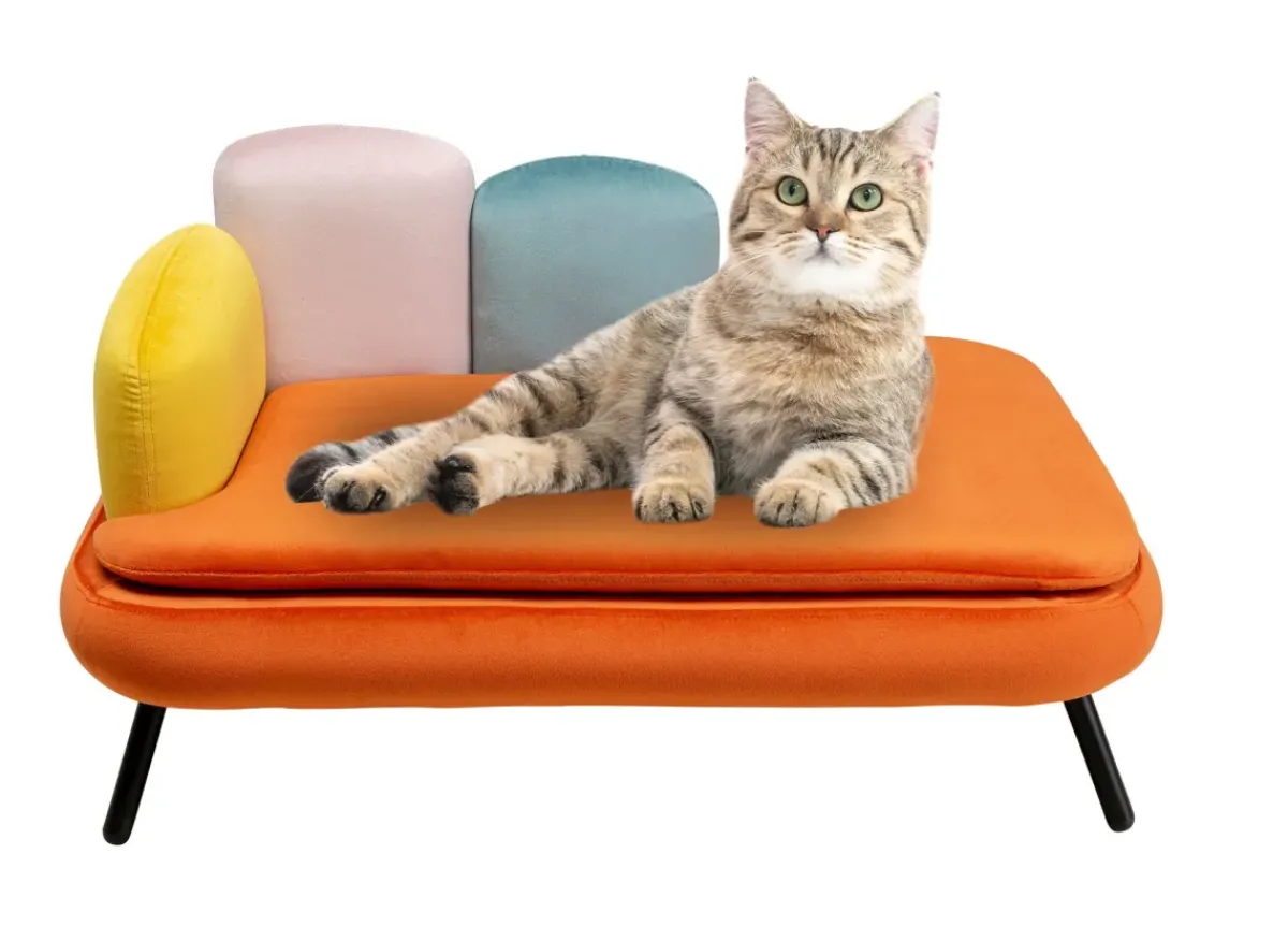 KARE24.se Hundbädd/Kattbädd Diva - Orange - KARE Design Sale