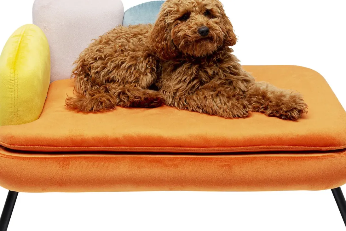 KARE24.se Hundbädd/Kattbädd Diva - Orange - KARE Design Sale