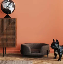 KARE24.se Hundbädd/Kattbädd Dream Day - Grå - KARE Design Hot
