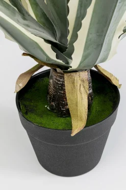 KARE24.se Konstväxt Agave - 50cm - KARE Design Best