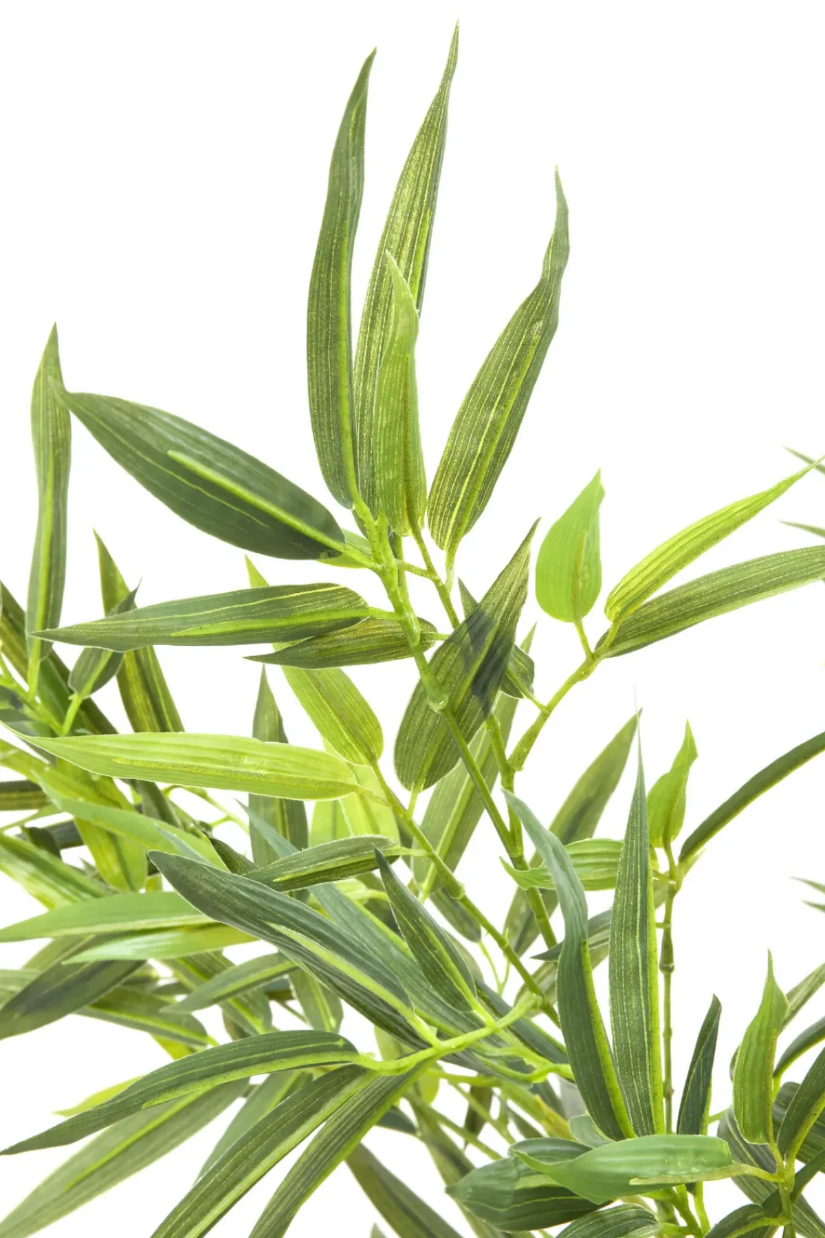 KARE24.se Konstväxt Bamboo Tree - Bambuträd, 200cm - KARE Design Online