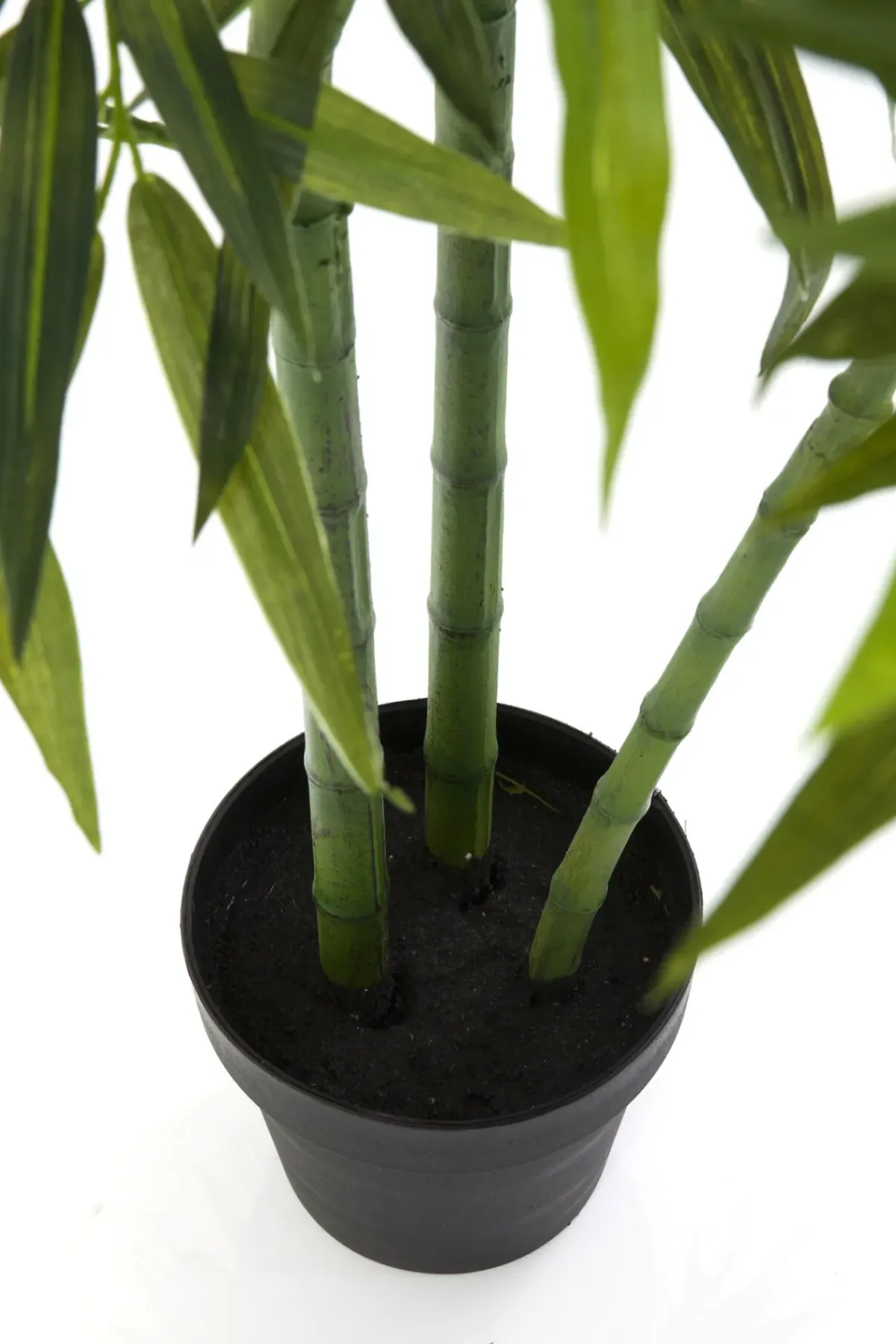 KARE24.se Konstväxt Bamboo Tree - Bambuträd, 200cm - KARE Design Online