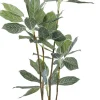 KARE24.se Konstväxt Calathea - Kalatea, 140cm - KARE Design Online