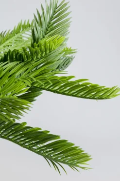 KARE24.se Konstväxt Cycas - 70cm - KARE Design Hot