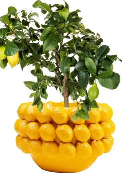 KARE24.se Kruka Lemon Juice - Dekor Citron, 22cm - KARE Design