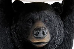 KARE24.se Sidobord Animal Bear - Björn Ø33cm - KARE Design Online