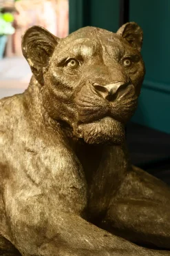 KARE24.se Skulptur Lion Gold - Dekor Guld Lejon, 113cm - KARE Design Best