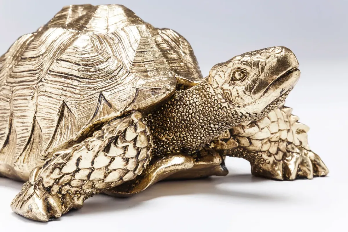 KARE24.se Skulptur Turtle - Dekor Sköldpadda Guld, 26cm - KARE Design