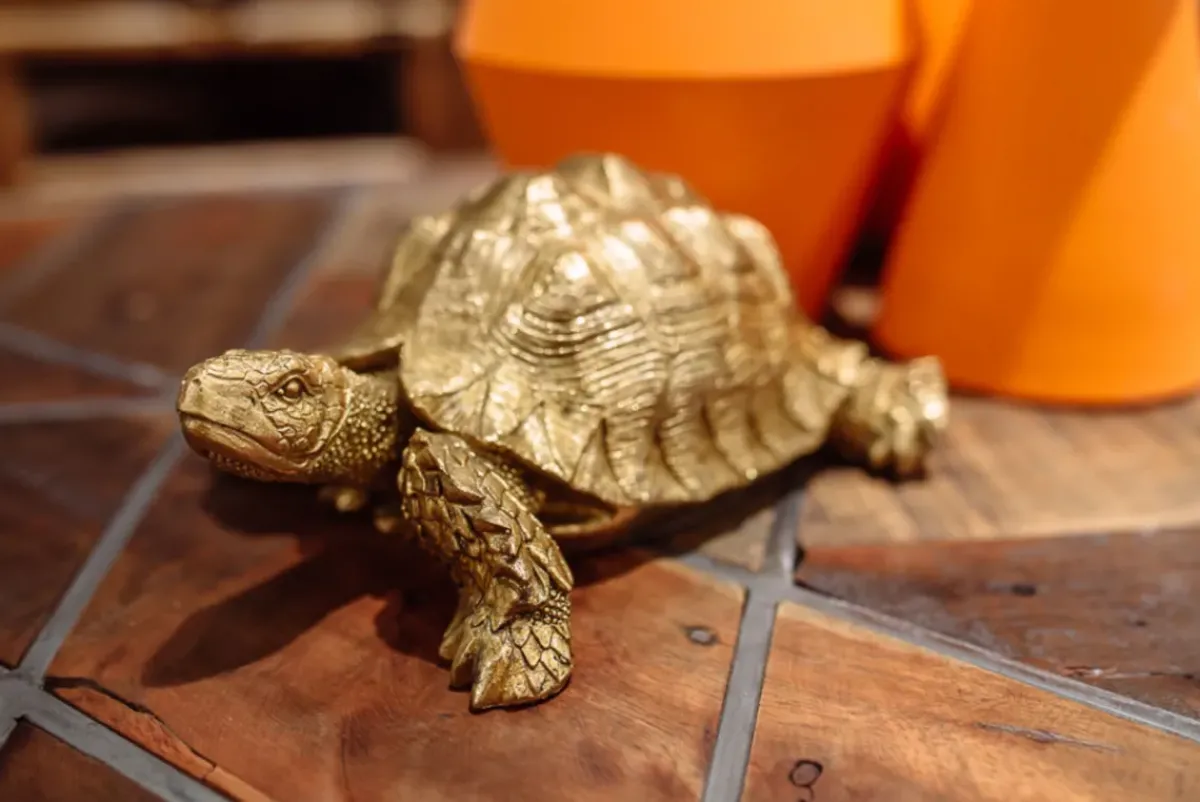 KARE24.se Skulptur Turtle - Dekor Sköldpadda Guld, 26cm - KARE Design