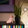 KARE24.se Sparbössa Chillax Pig - KARE Design Sale
