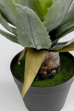KARE24.se Konstväxt Agave - 40cm - KARE Design Best