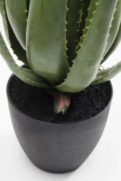 KARE24.se Konstväxt Aloe, 69cm - KARE Design
