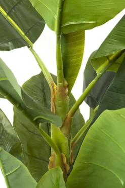 KARE24.se Konstväxt Banana Tree - Bananträd, 180cm - KARE Design Outlet