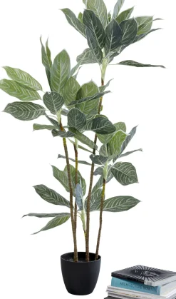 KARE24.se Konstväxt Calathea - Kalatea, 140cm - KARE Design Online