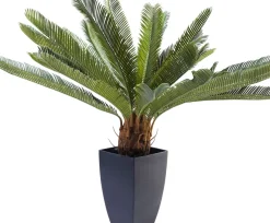 KARE24.se Konstväxt Cycas Träd, 78cm - KARE Design Online