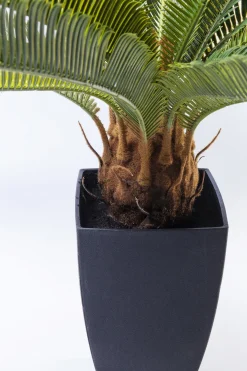KARE24.se Konstväxt Cycas Träd, 78cm - KARE Design Online
